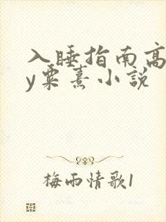 入睡指南高干by粟熹小说