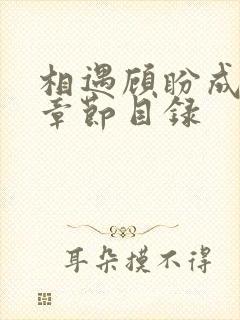 相遇顾盼成欢全章节目录