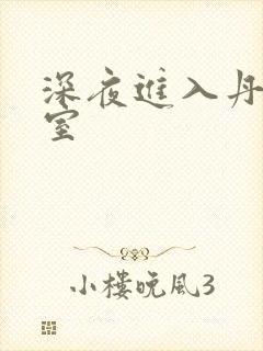 深夜进入丹丹卧室