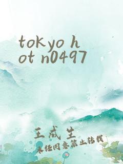 tokyo hot n0497