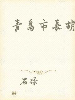 青岛市长胡学峰