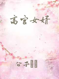 高官女婿