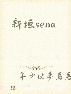 新垣sena