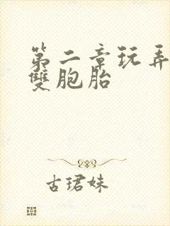 第二章玩弄少妇双胞胎