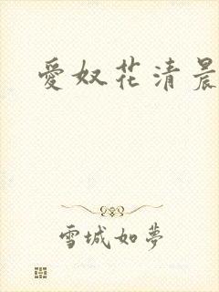 爱奴花清晨