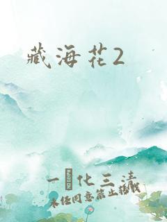 藏海花2