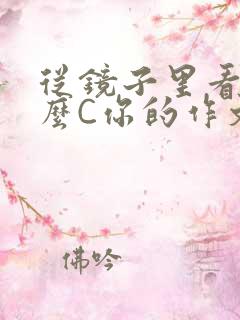 从镜子里看我怎么C你的作文