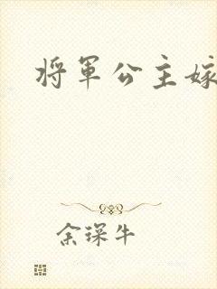 将军公主嫁到