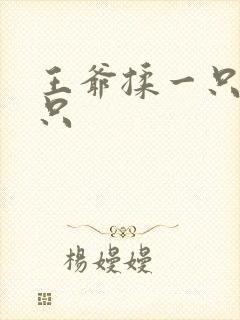 王爷揉一只舔一只