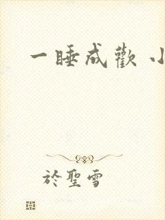 一睡成欢 小说