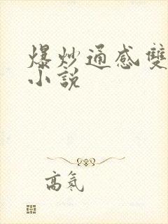 爆炒通感双胞胎小说