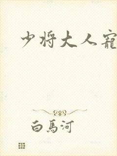 少将大人宠宠我