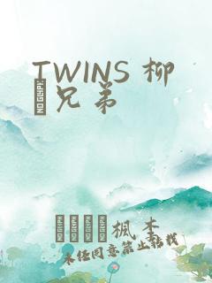 TWINS 柳澤兄弟