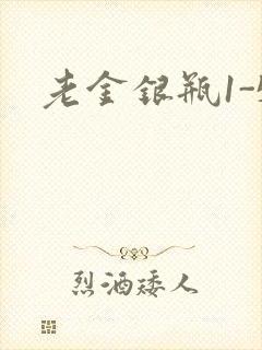 老金银瓶1-5
