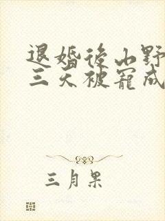 退婚后山野糙汉三天被宠成宝小说