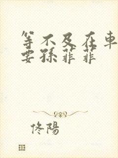 等不及在车里就要孙菲菲