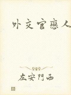 外交官恋人小说