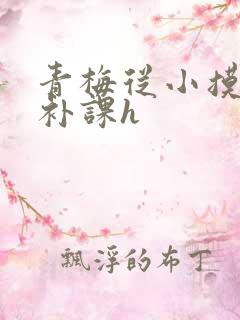 青梅从小摸到大补课h