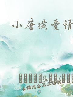 小唐璜爱情历史