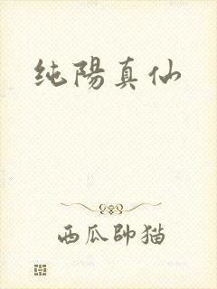 纯阳真仙