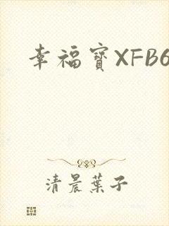 幸福宝XFB6