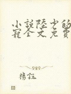 小说陆少的心尖宠全文免费阅读