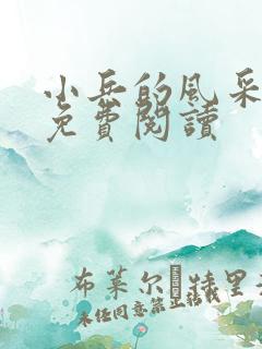 小兵的风采小说免费阅读