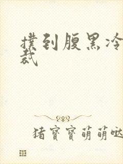 扑到腹黑冷面总裁