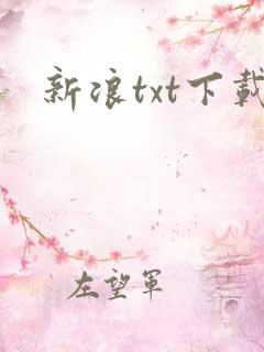 新浪txt下载