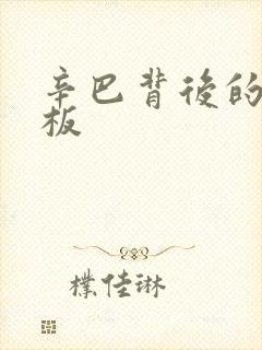 辛巴背后的人老板