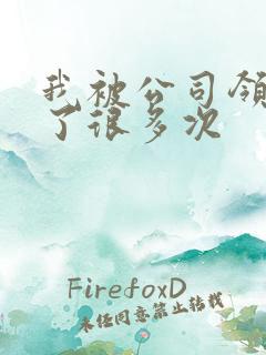 我被公司领导C了很多次