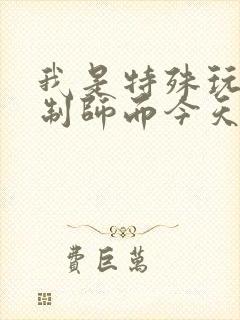 我是特殊玩具定制师而今天的客户