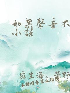 如果声音不记得小说