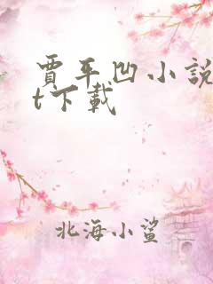 贾平凹小说txt下载