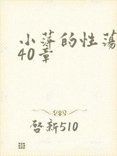 小萍的性荡生活40章