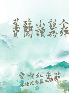 叶临小说全文免费阅读无弹窗