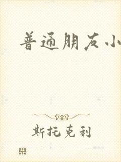 普通朋友小说
