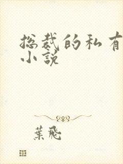 总裁的私有宝贝小说