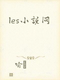 les小说网