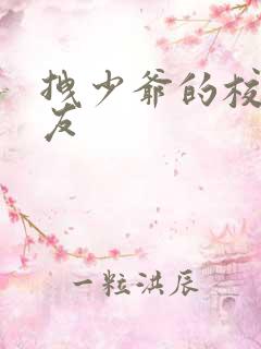 拽少爷的校花女友