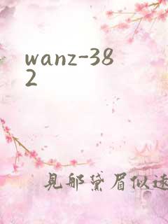 wanz-382