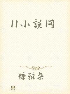 11小说网