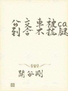 公交车被cao到合不拢腿app