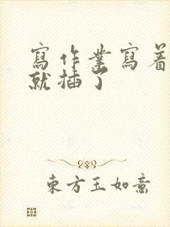 写作业写着写着就插了