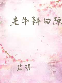 老牛耕田陈雪