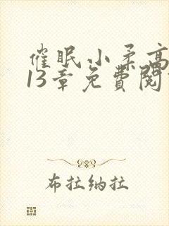 催眠小柔高达第13章免费阅读