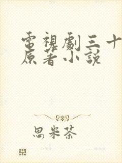 电视剧三十而已原著小说