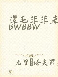 浓毛茸茸老太BBWBBW