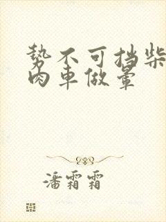 势不可挡柴鸡蛋肉车做晕