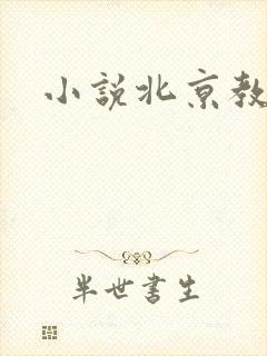 小说北京教父